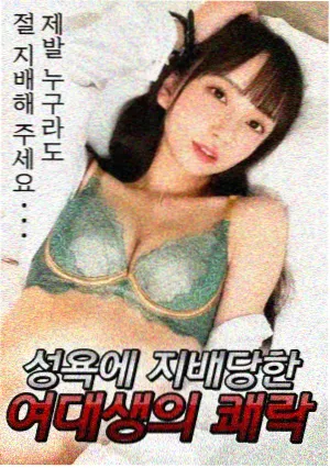 岁月缝花小说封面